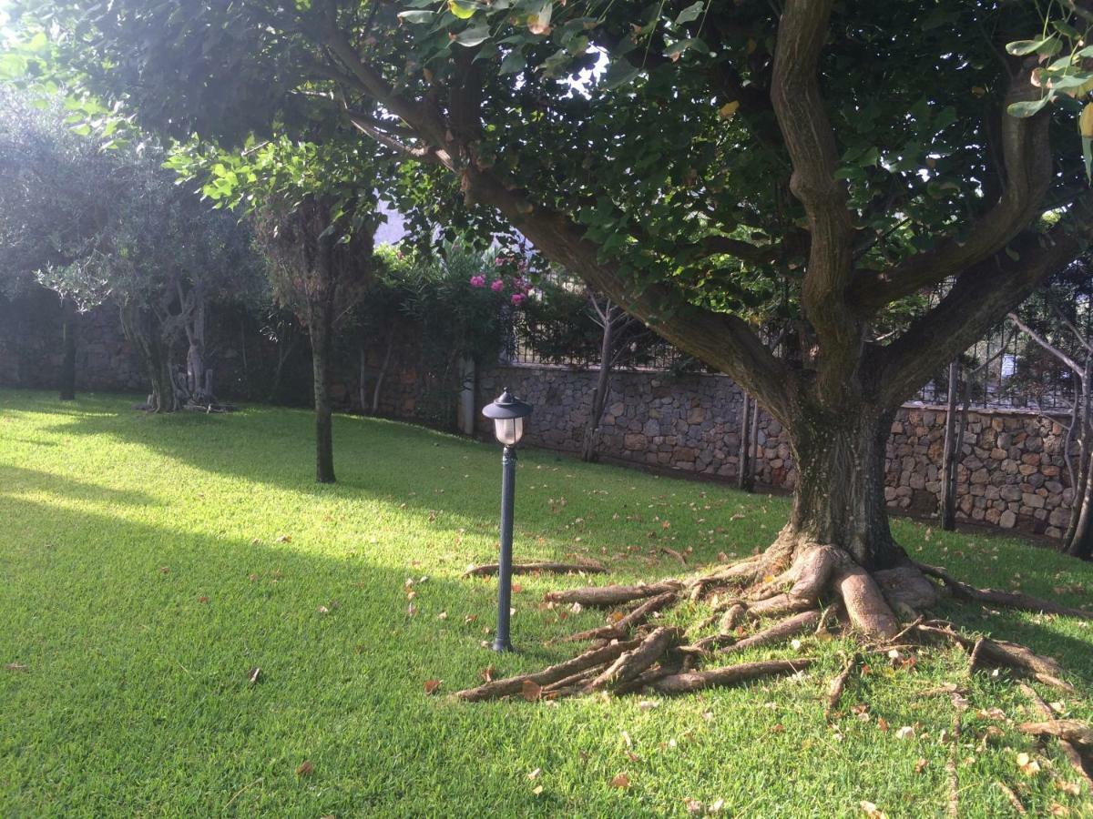 Casolare Giummari Acomodação com café da manhã Carini Exterior foto